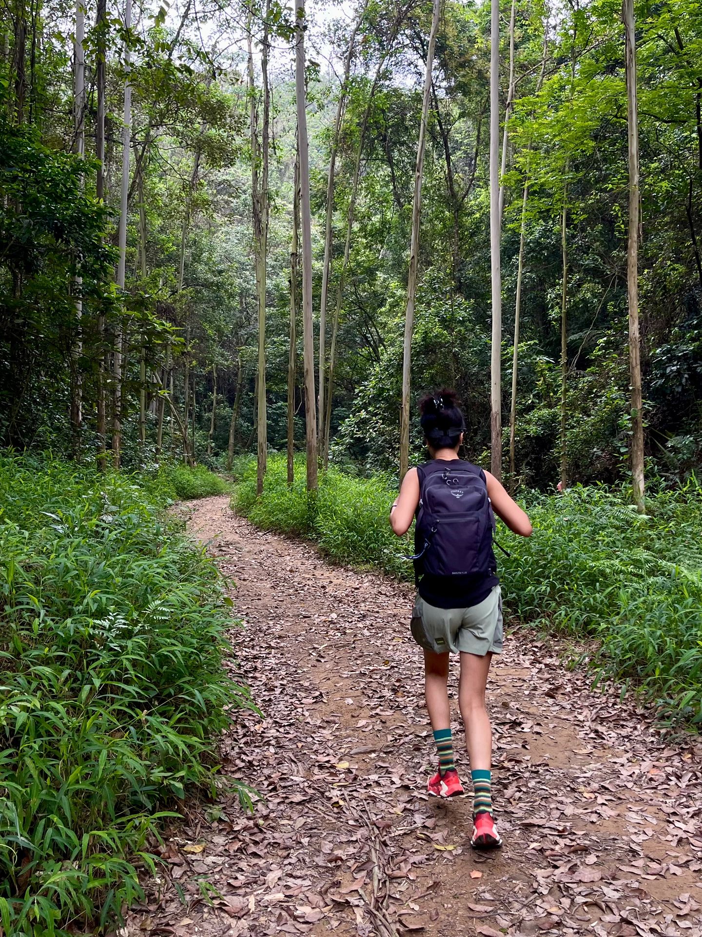 徒步｜油麻山也不过如此嘛