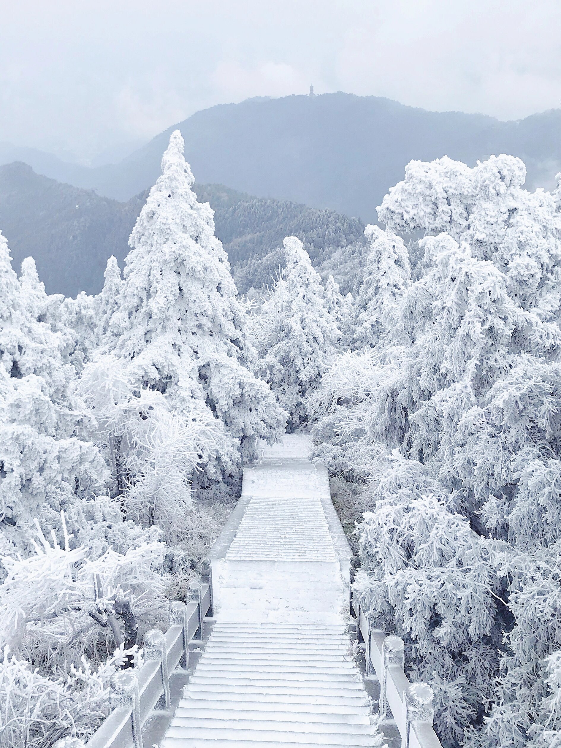 广东2h直达！最省时省钱的赏雪地南岳衡山