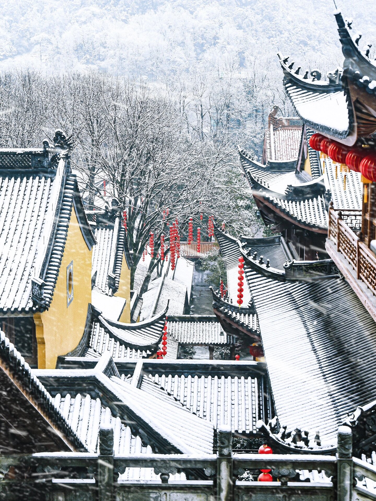 杭州本周末下雪❓快收藏这7️⃣个赏雪点