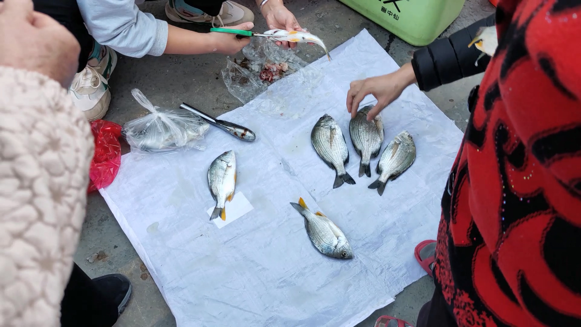 小镇随拍，晚市海鲜水产。

五点后，在熟食街的两头，会有一些海鲜等水产。这天有海
