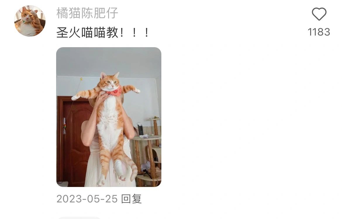 落后10万！！不是，喵喵教的人呢？？？
平时一口一口圣火喵喵，这会儿猫门都落后狗