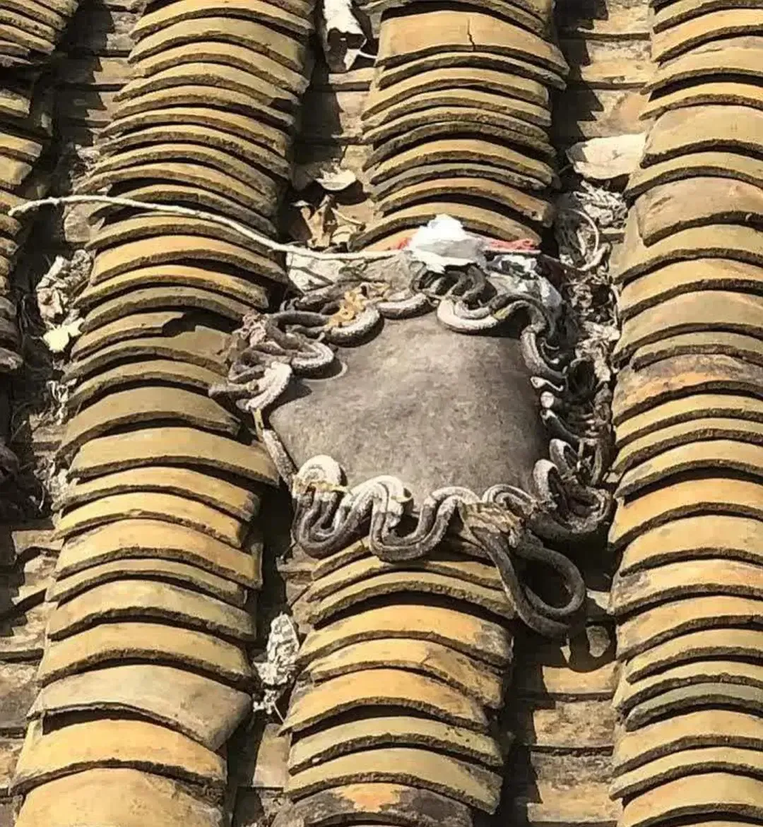 老家老房子上的东西，吓死老子了！