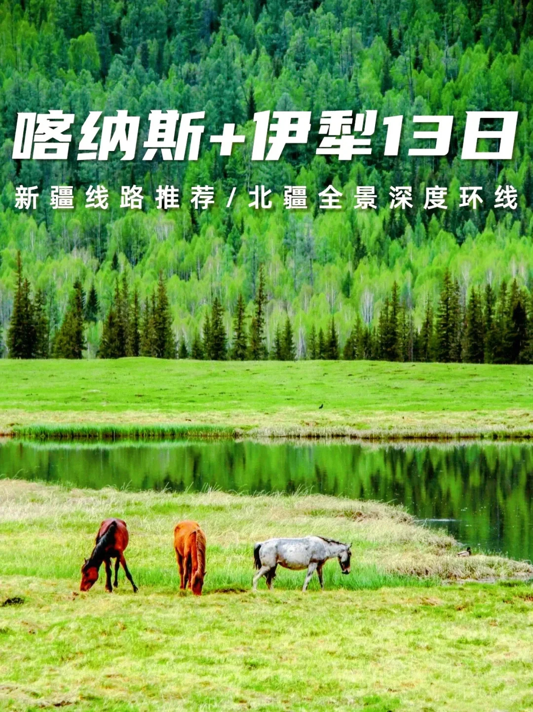 喀纳斯➕伊犁13日环线✈带你深度畅游北疆
