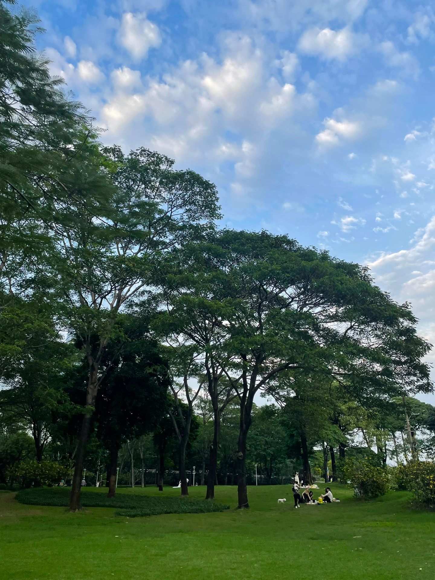🌿广州户外｜野餐首选地