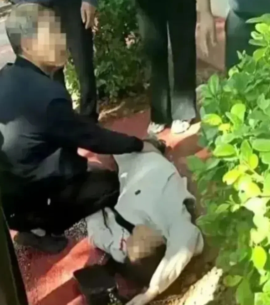 这真是赤裸裸的挑衅，炮弹屡次落入我们云南的领土，无论是哪个势力，你们的炮弹都有国