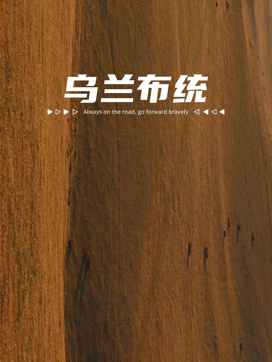 赏秋天花板，建议是自驾乌兰布统