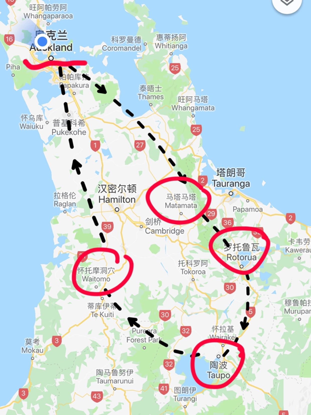 新西兰十日自驾🚗南岛➕北岛最全攻略