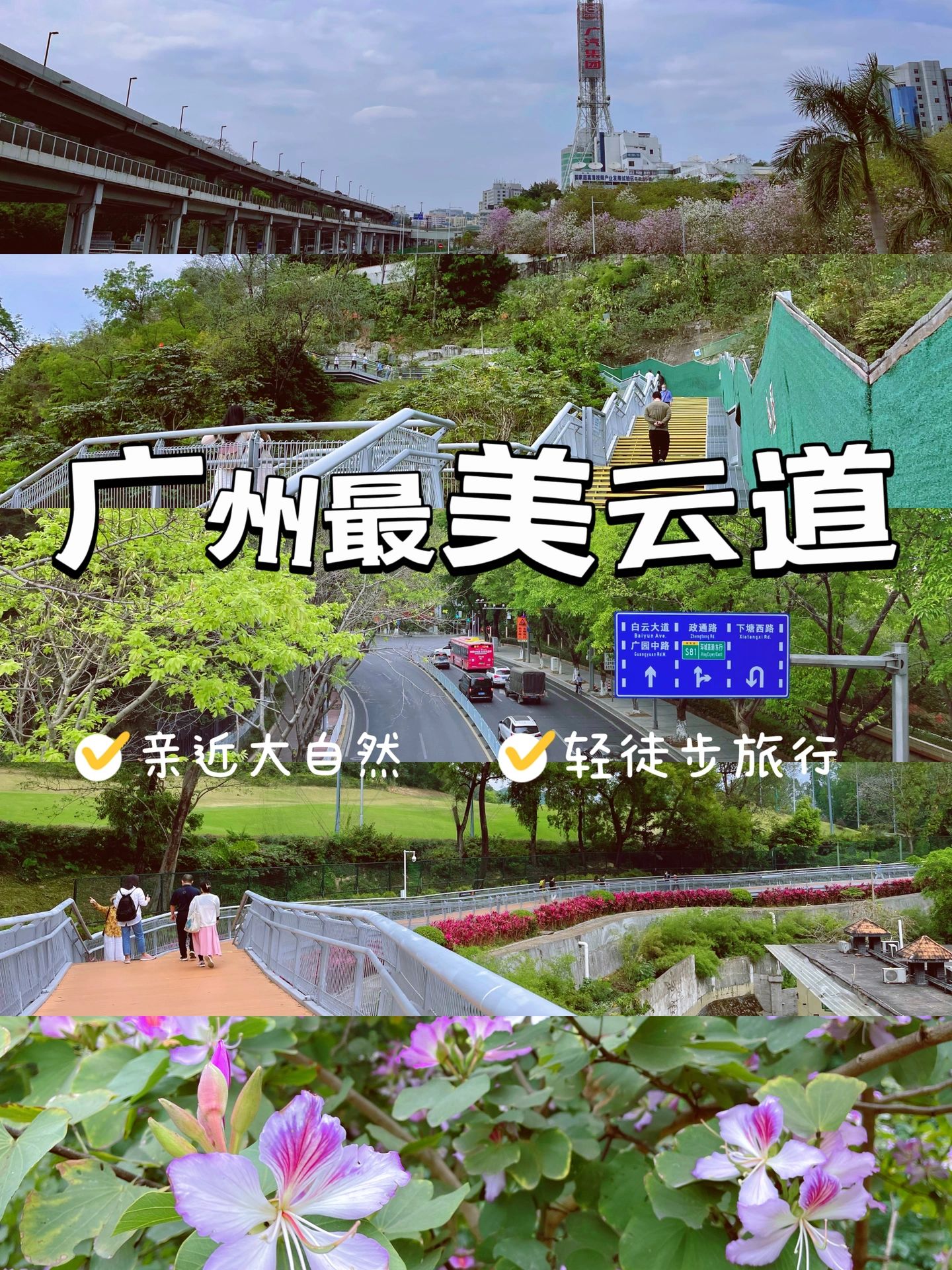什么😱你还没有走过广州最美云道⁉️