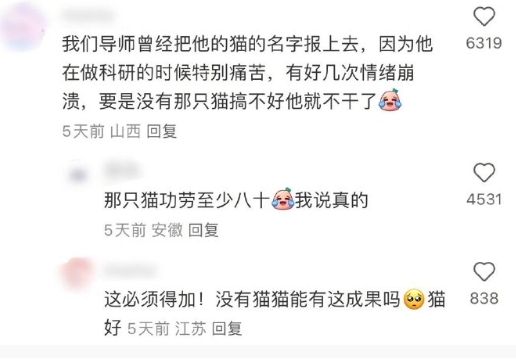 我是真的觉得猫很能抚慰人的情绪。。。。猫好 ​​​