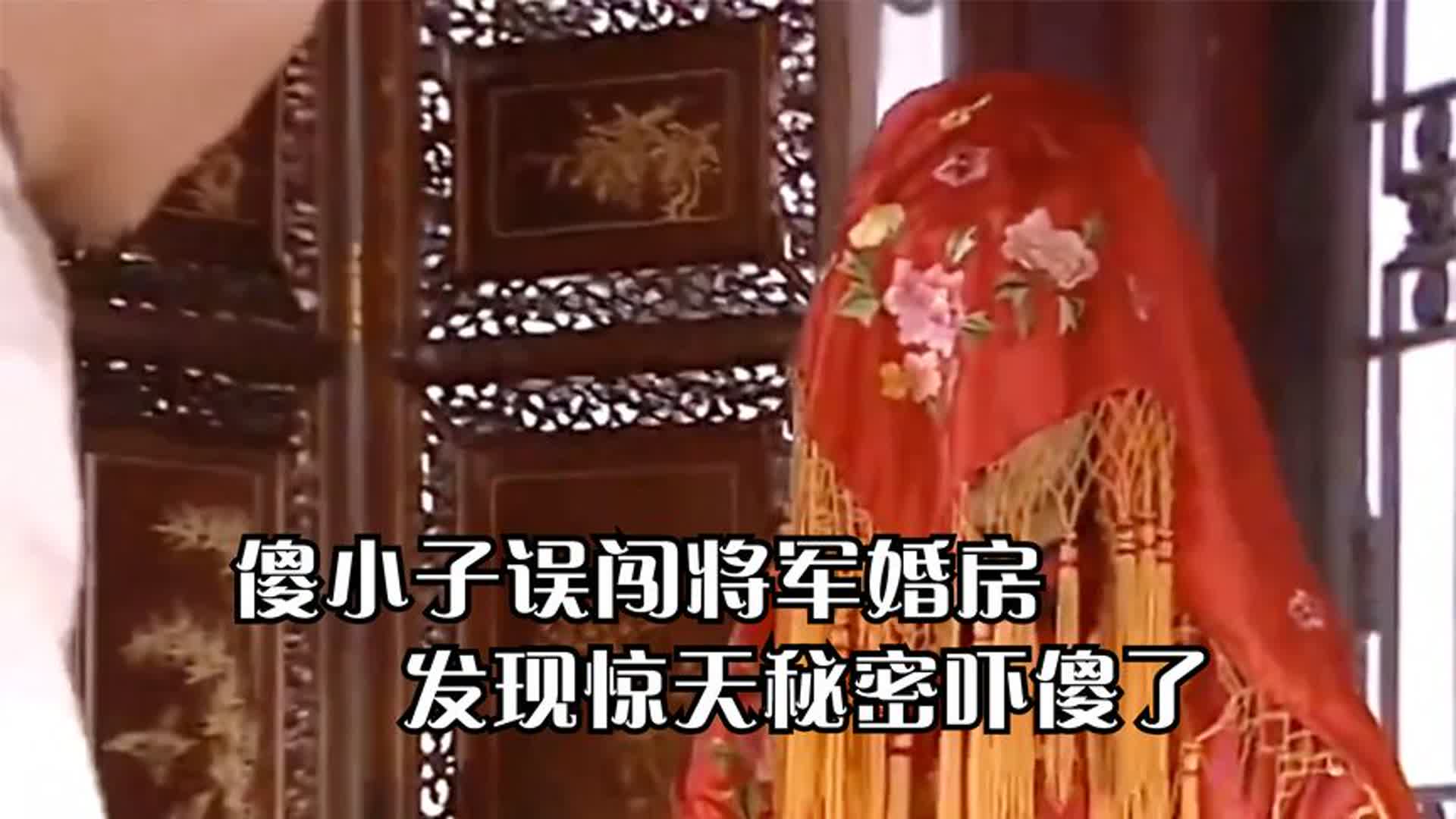 傻小子误闯将军婚房