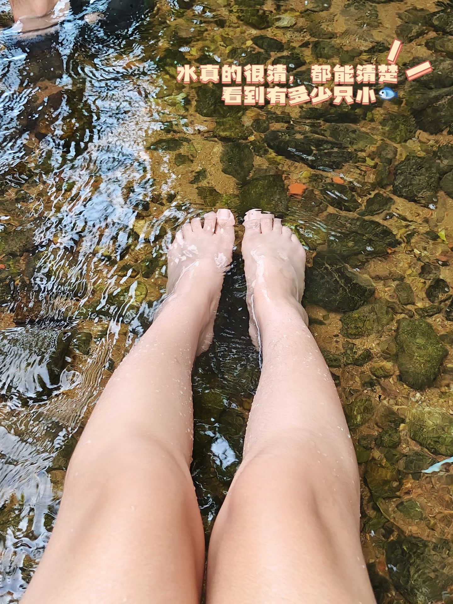 都给我去溯溪‼️这里简直就是避暑圣地❗️