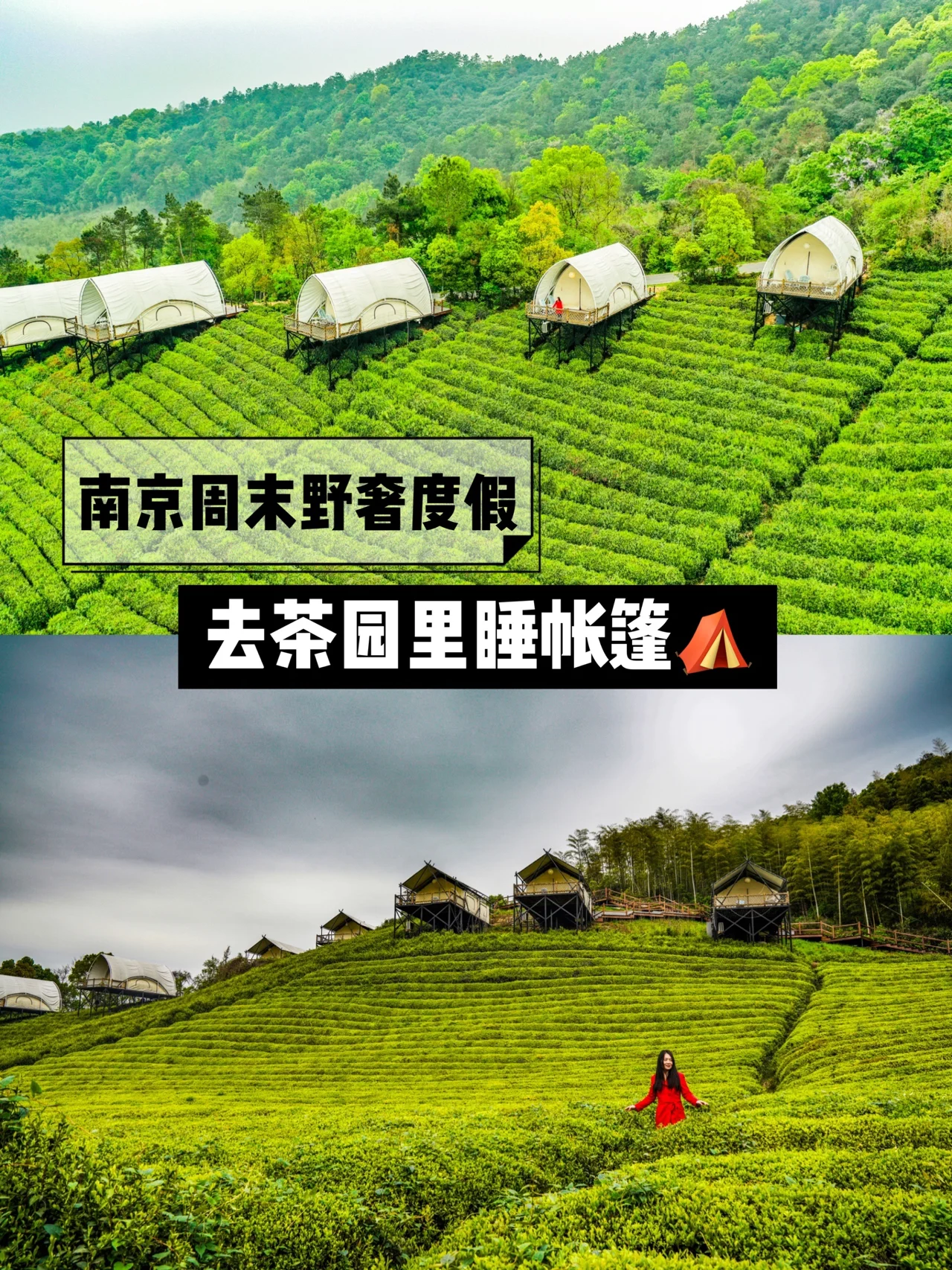 南京-湖州｜去绿油油的茶山住帐篷