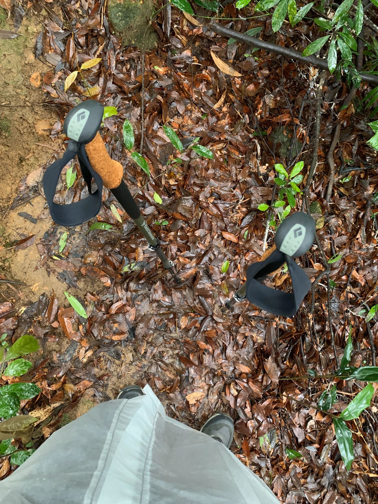 从化十登系列:雨徒烧伤岭