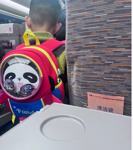 卧槽尼玛，我来到了天崩车厢。
粗略算了下这个车厢有十个小孩，年纪都在十岁以下。我