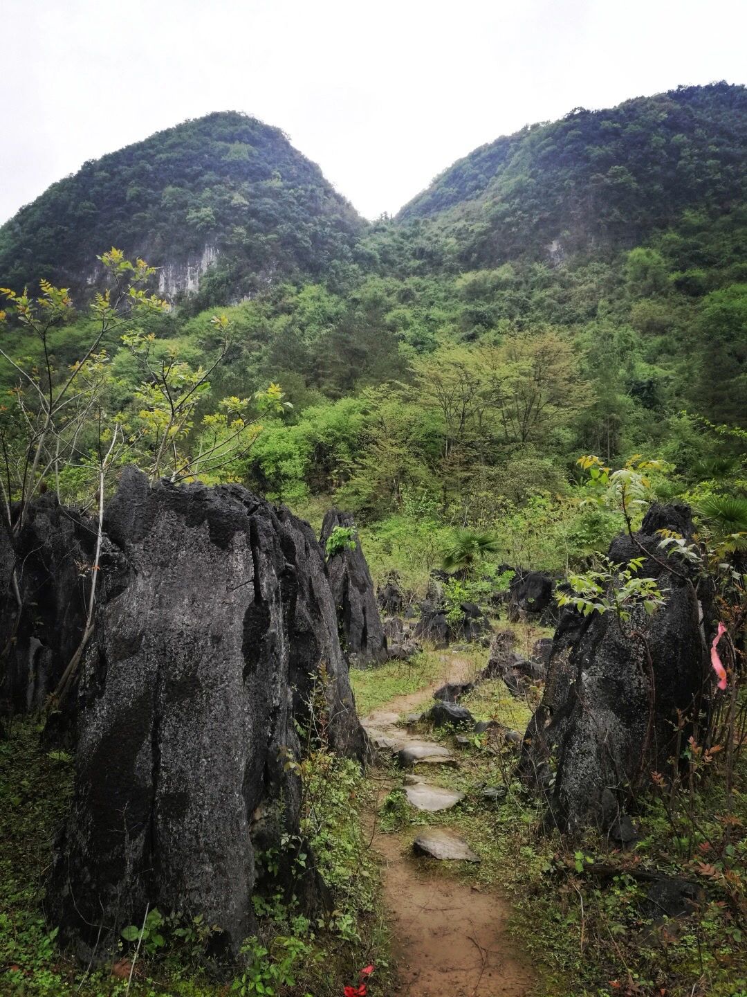 非凡探险之旅：踏进阳山牛湖线的神秘天坑古