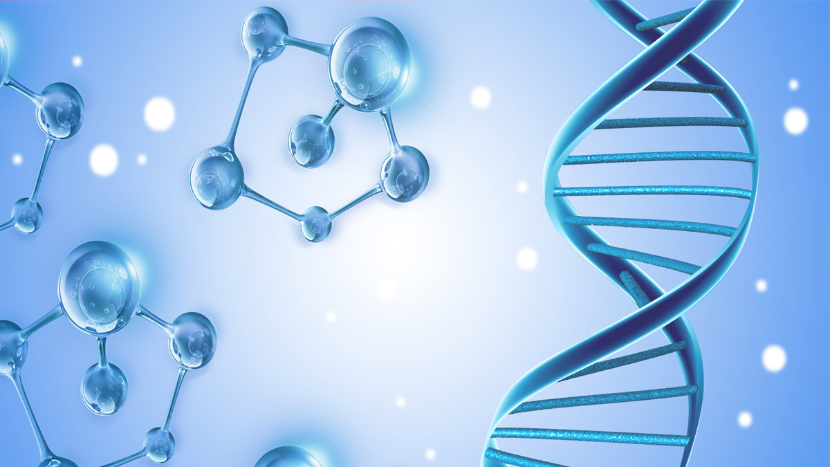 生物技术和基因工程