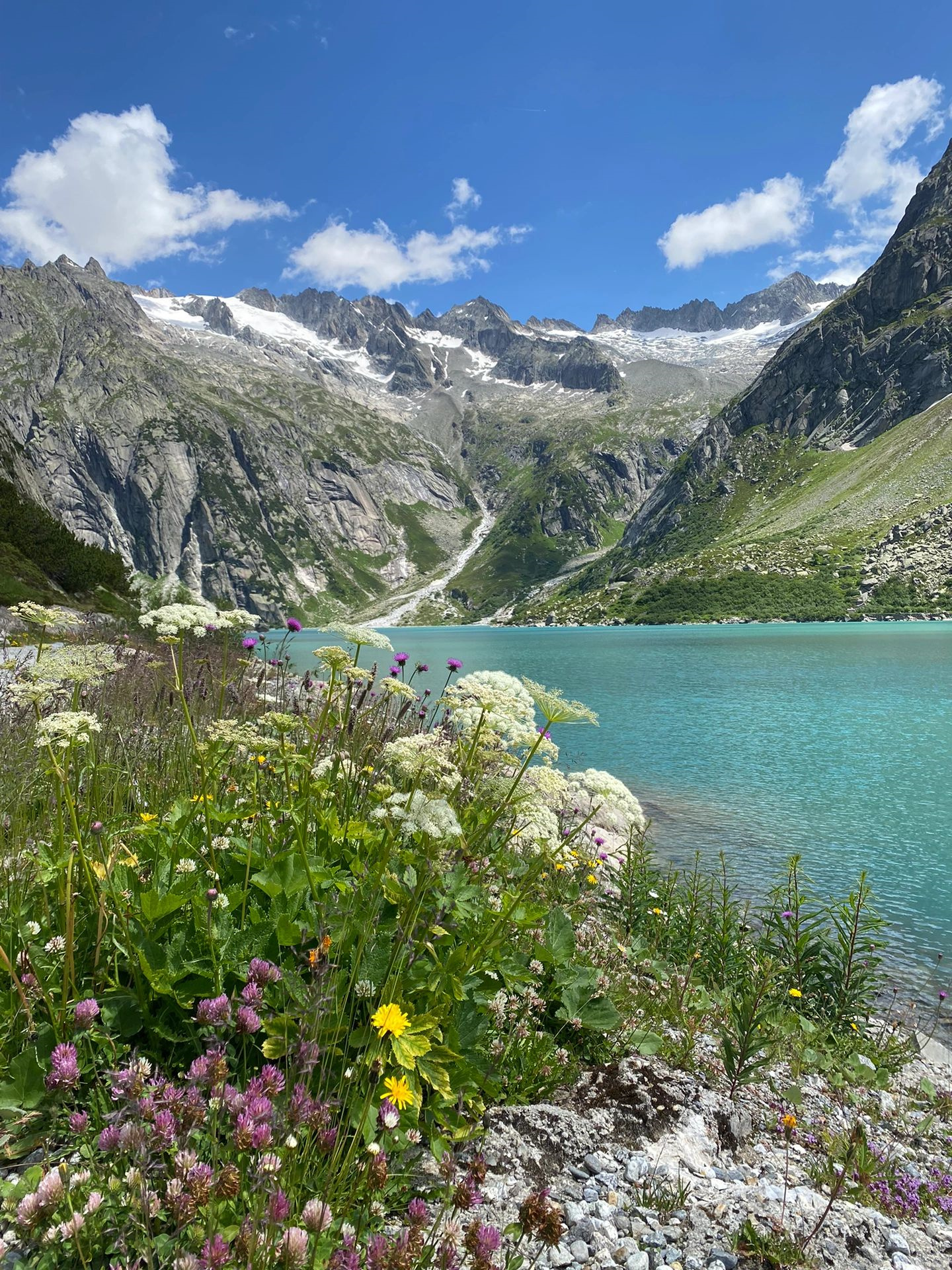 瑞士｜7天6晚旅游攻略直接抄作业✅
