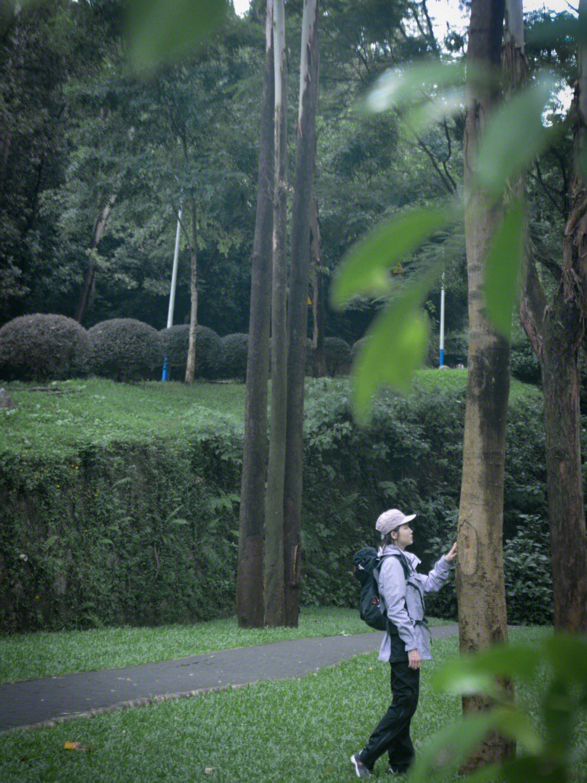 火炉山｜雨天徒步的氛围感谁懂啊🌧️