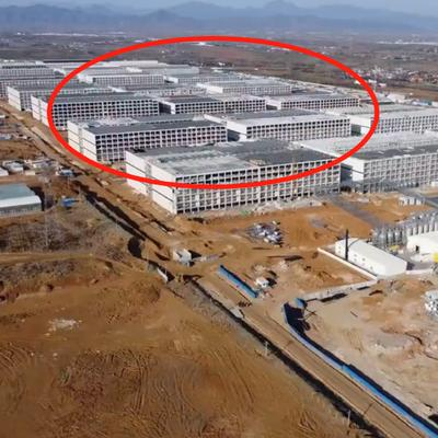 中国建造的世界最大养猪场：斥资50多亿建造而成，一年产量高达210万头，这个养殖