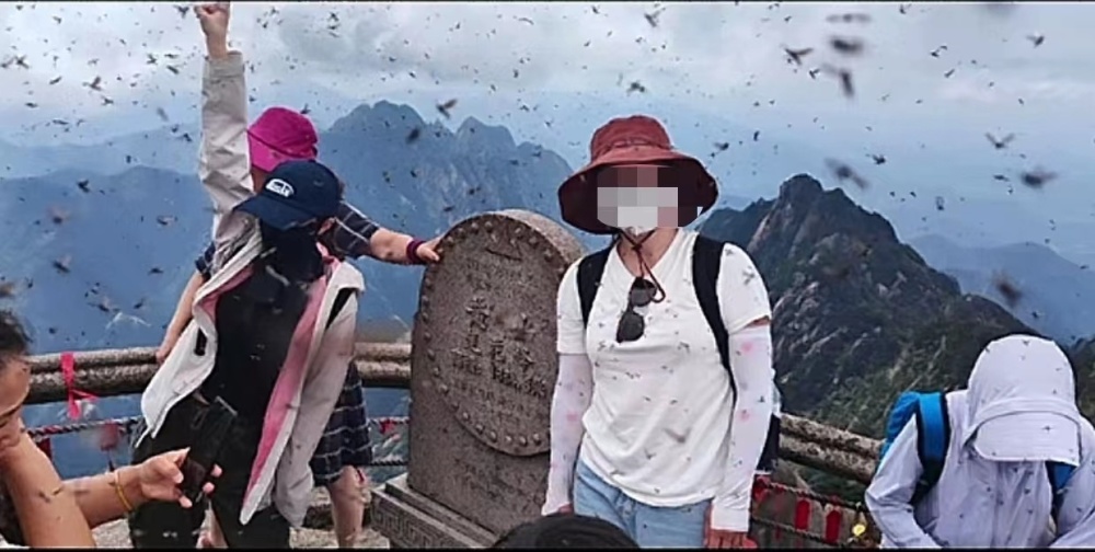 【国庆劝退？黄山景区回应“飞虫冲脸”】

9月19日，网友发视频吐槽安徽黄山风景