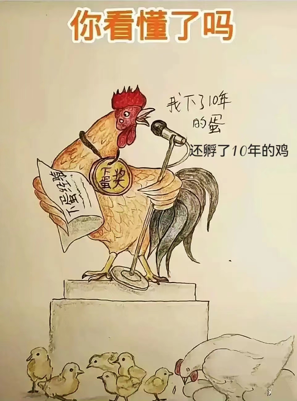 公鸡:我下了10年蛋，谁有我厉害！《下蛋经验宝典》首次全球发售，2500一份！
