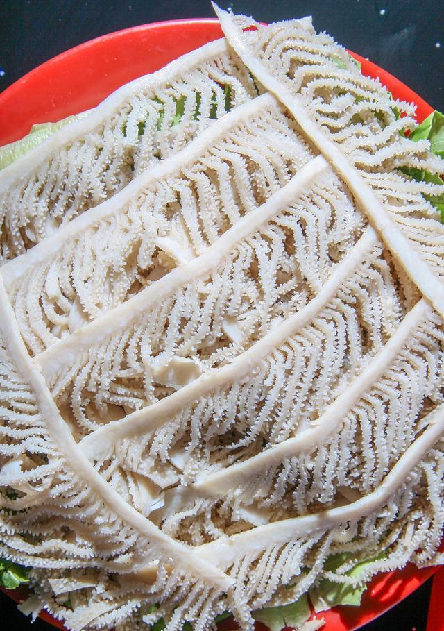牛百叶是牛的哪个部位?