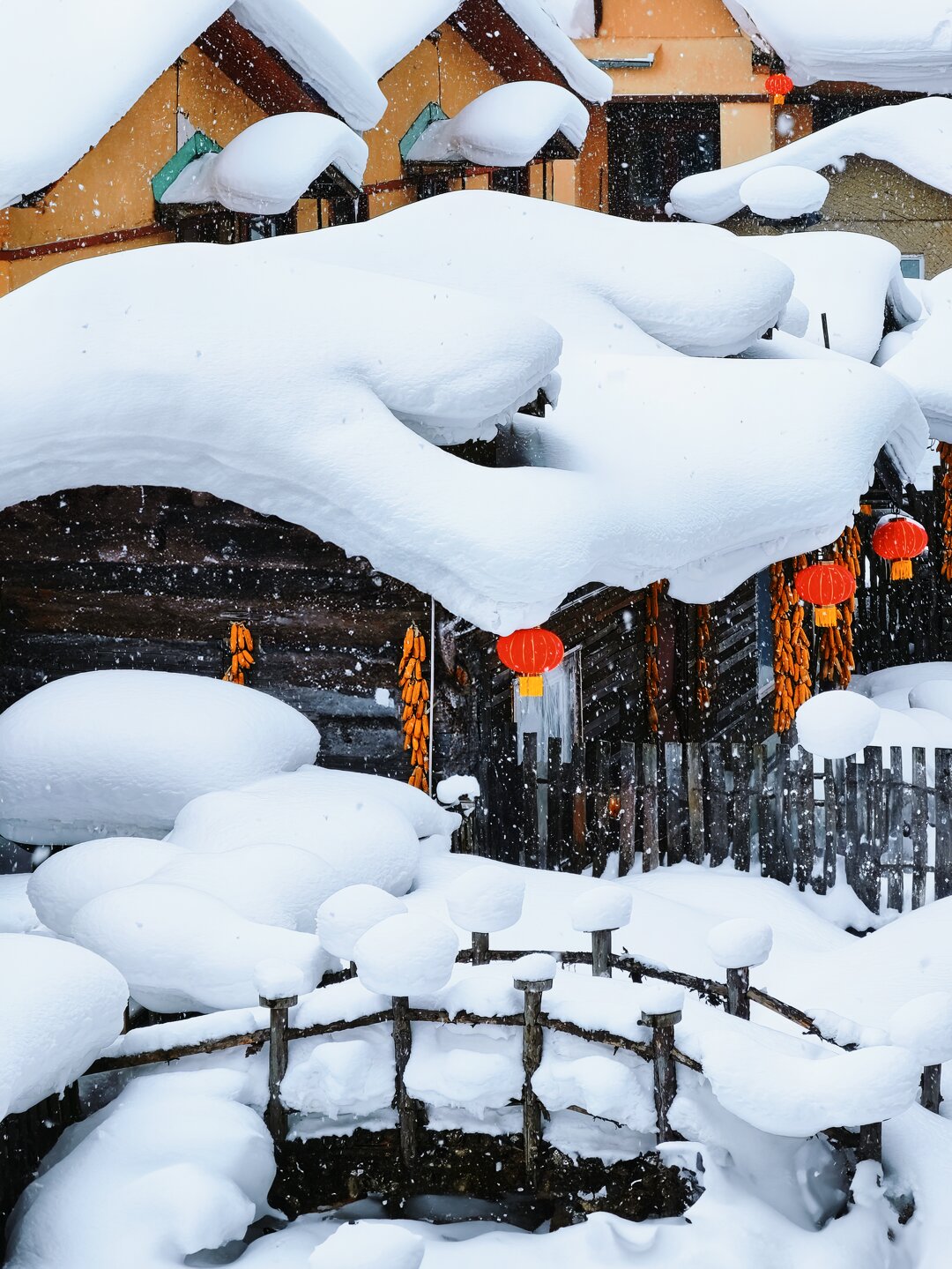 赏雪❄️玩雪：哈尔滨3日2晚纯玩之旅🏂