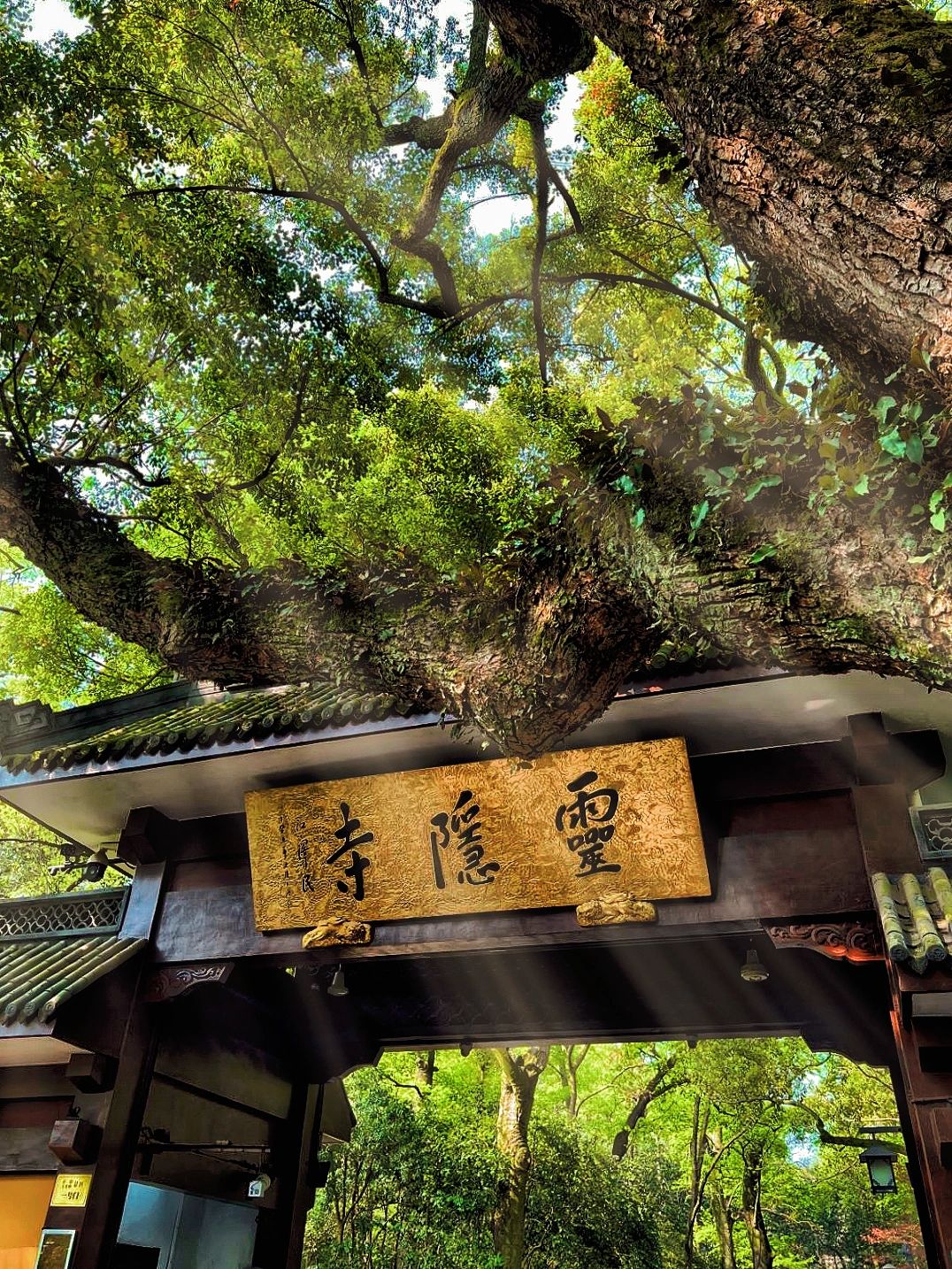 杭州一日游 灵隐寺法喜寺 旅行攻略