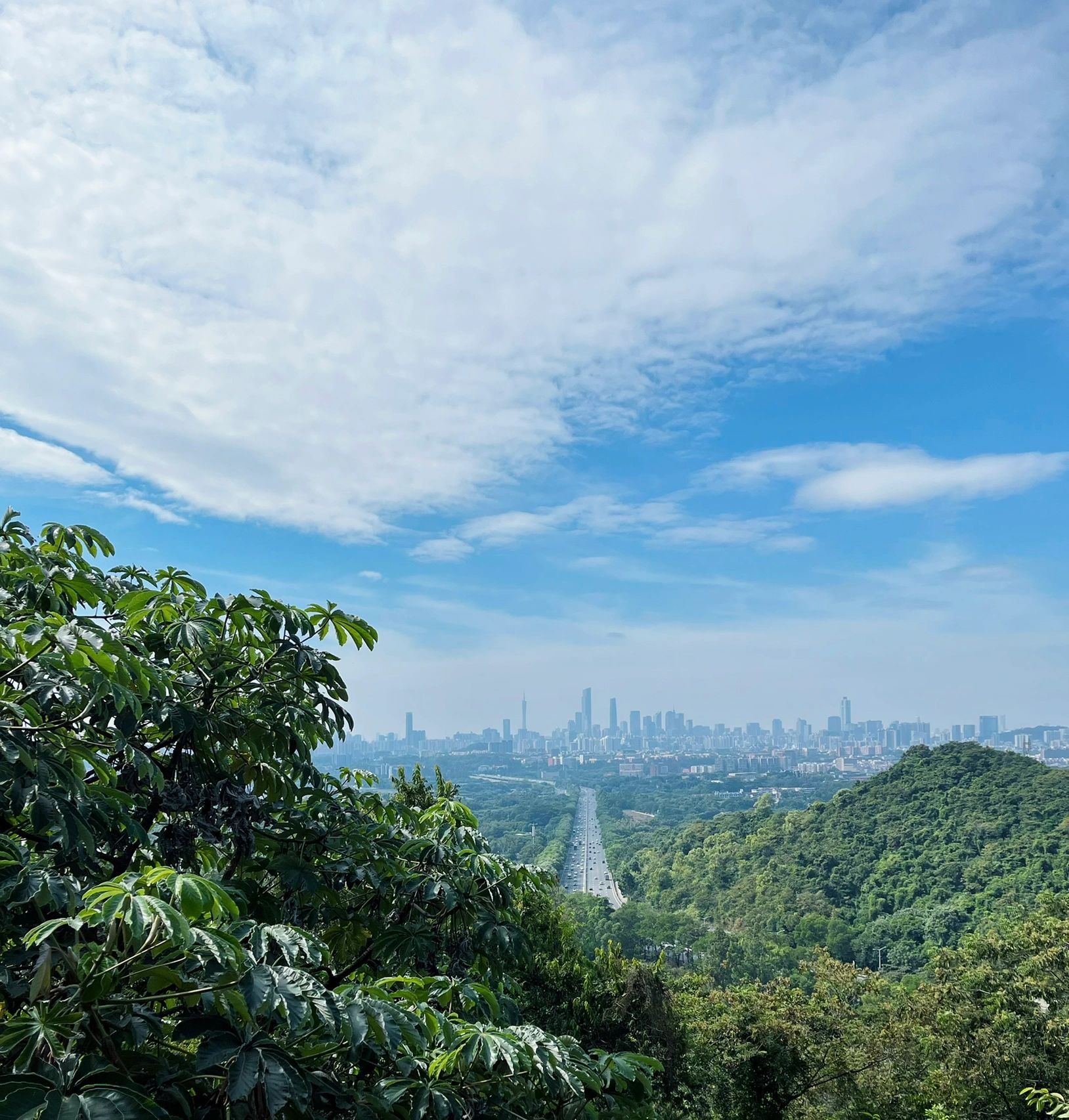 火凤线｜秋风起，爬山记