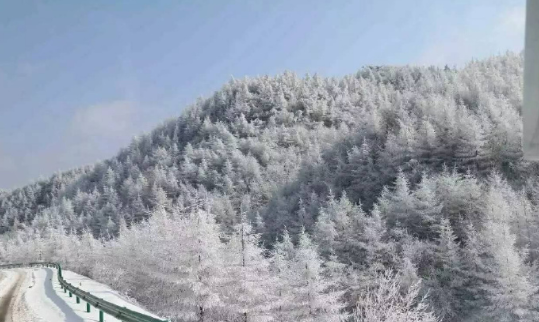 高山赏雪
