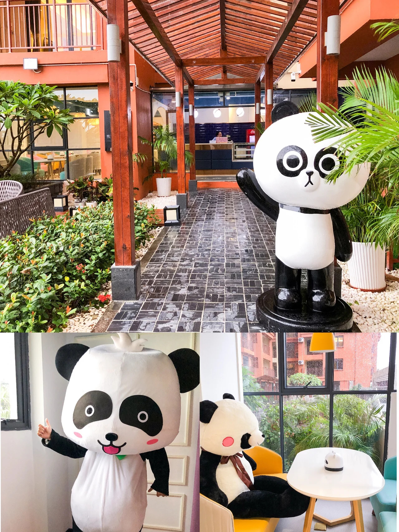 假期亲子游｜古兜泡温泉缆车玻璃桥最全攻略