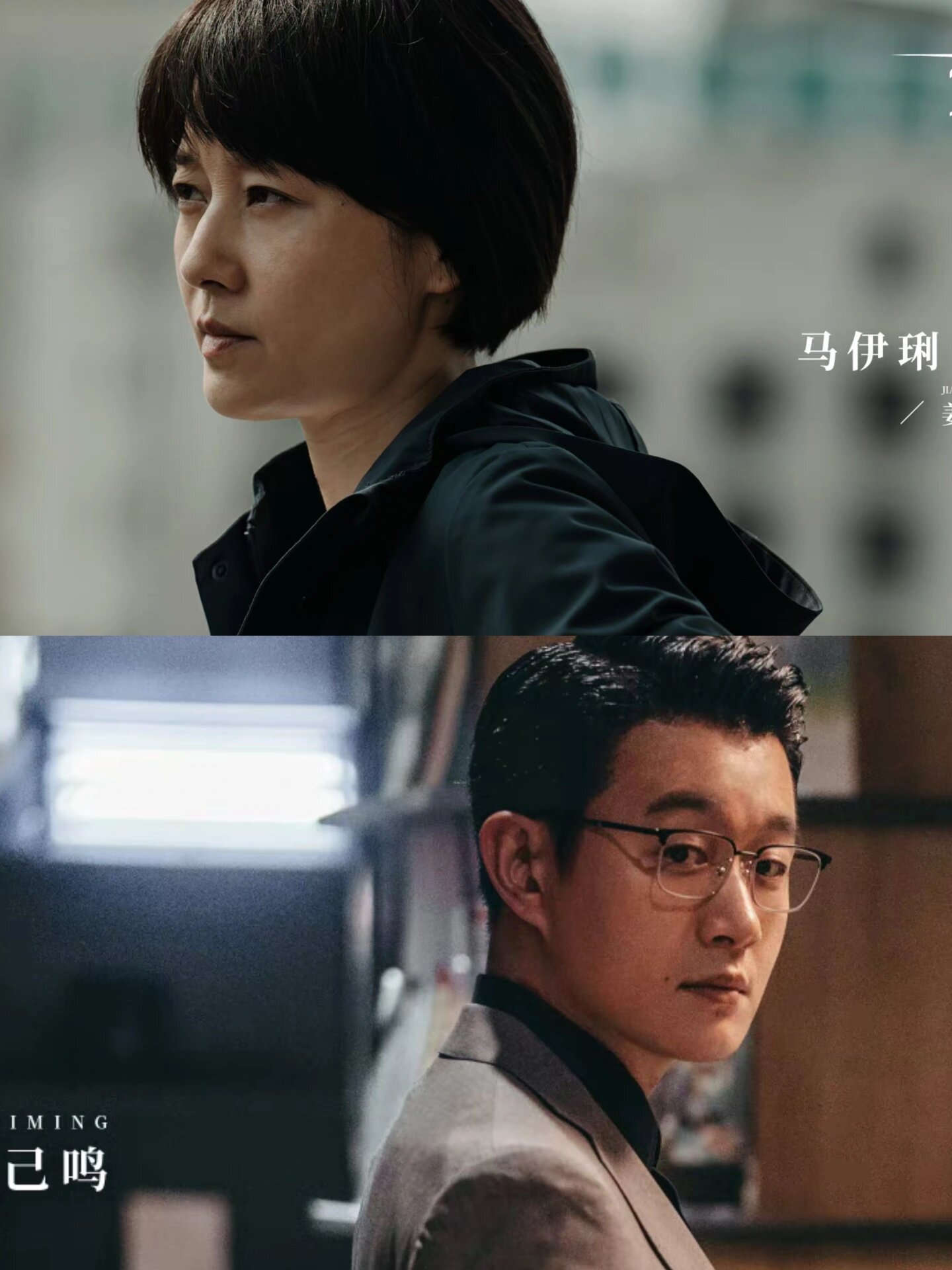 最新犯罪悬疑剧，剧情绝了，烧脑案中案