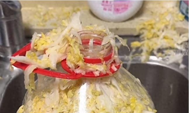 “天呐，被吓傻了！”近日，辽宁沈阳一名女子在家打开橱柜，看到自己腌制的酸菜，瓶子