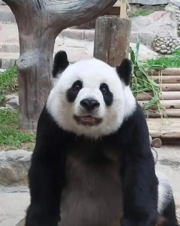 林慧去世整整一个月了，但是还是没有任何她的信息，打了无数电话，只是毫无波澜，希望