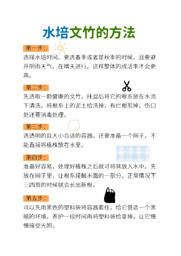 文竹该怎么养护#文竹叶子发黄怎么挽救#