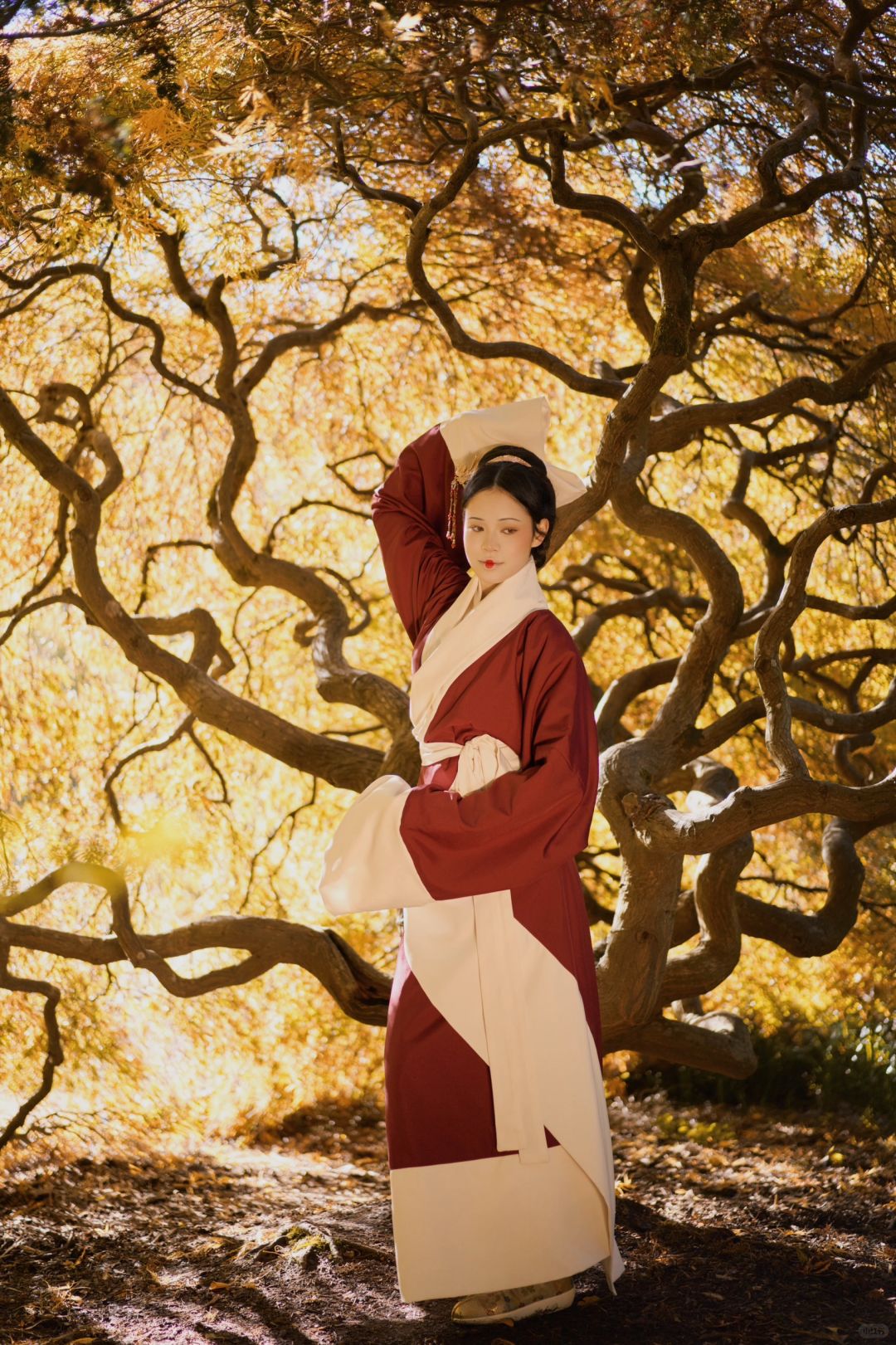 金龙贺岁🐉我在西雅图点亮汉服世界地图
新春将至，我们在西雅图给大家拜年啦🧧?