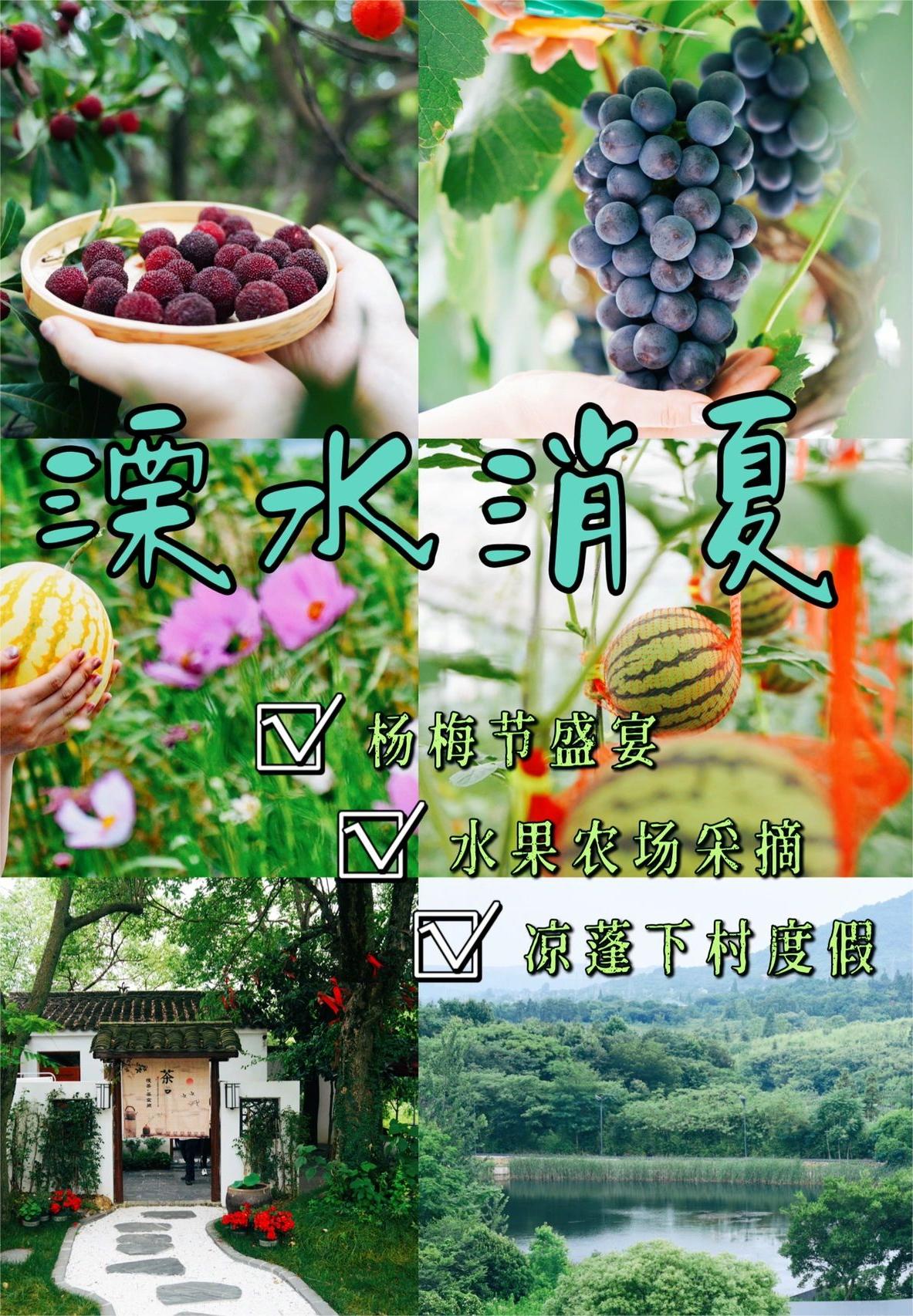 南京｜溧水真好玩！杨梅节+果园+凉棚下村