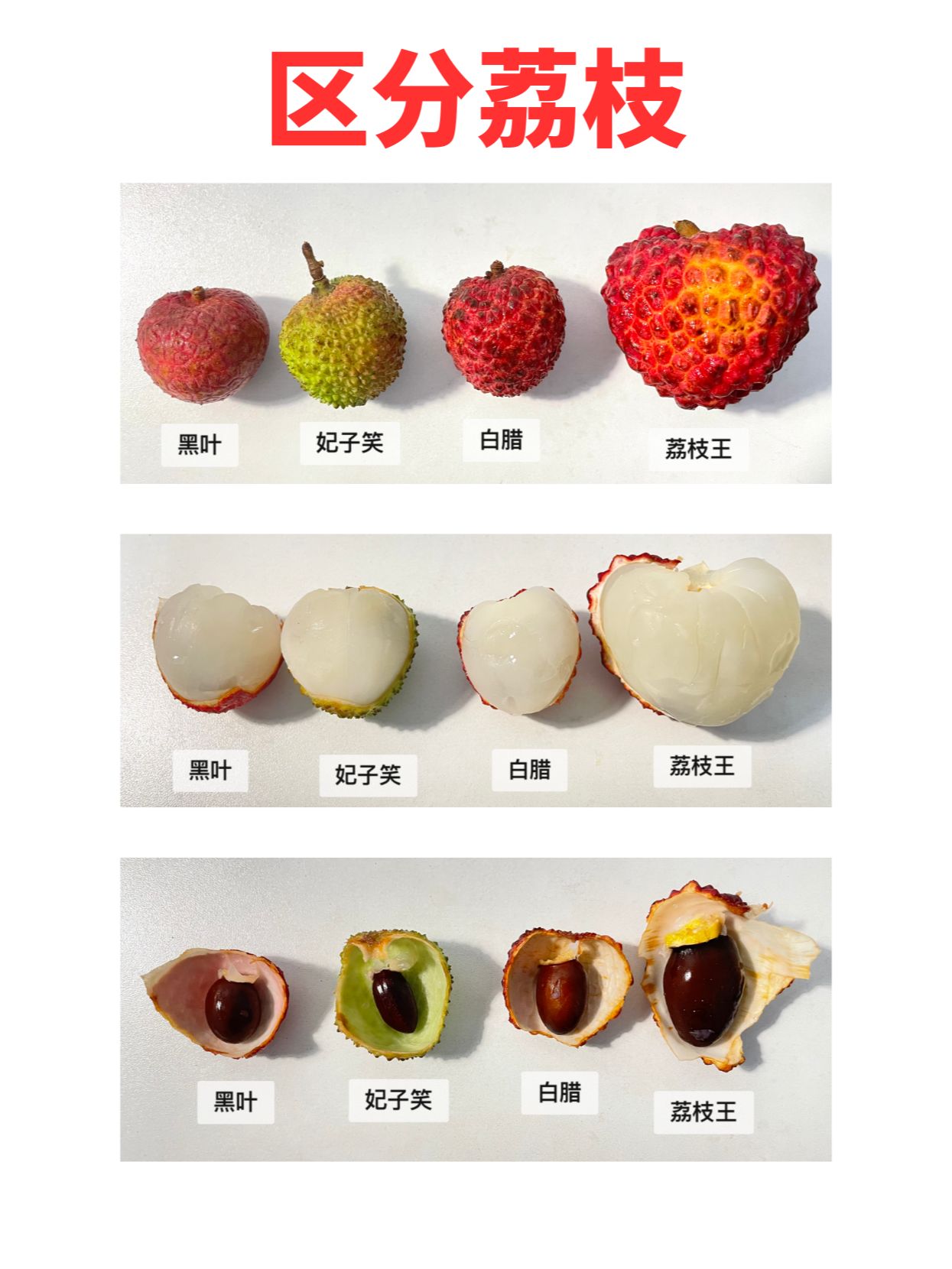 妃子笑、糯米滋#荔枝种类#