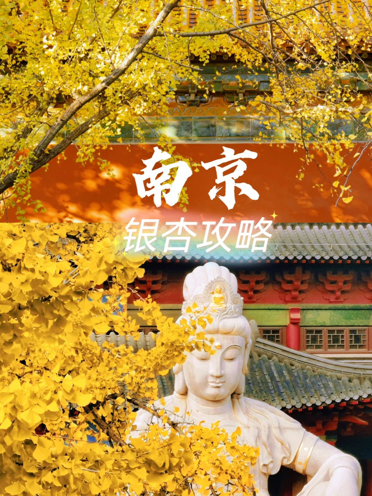 各个绝美‼️南京必去的银杏打卡点合集！