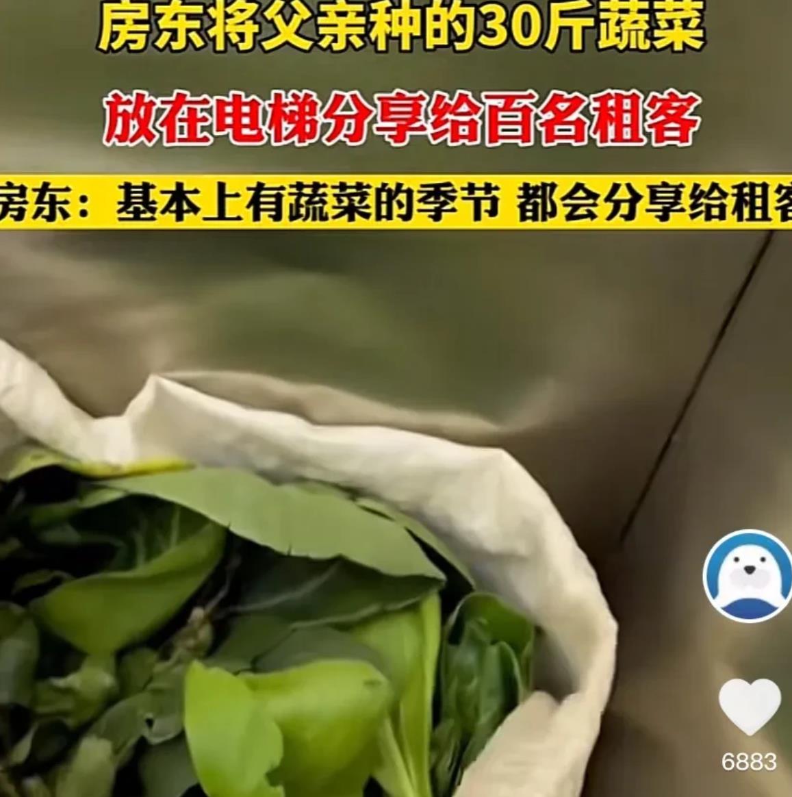 “这个房东彻底火了！”浙江义乌一女子，家里有一栋公寓，大概住了100个左右的租客