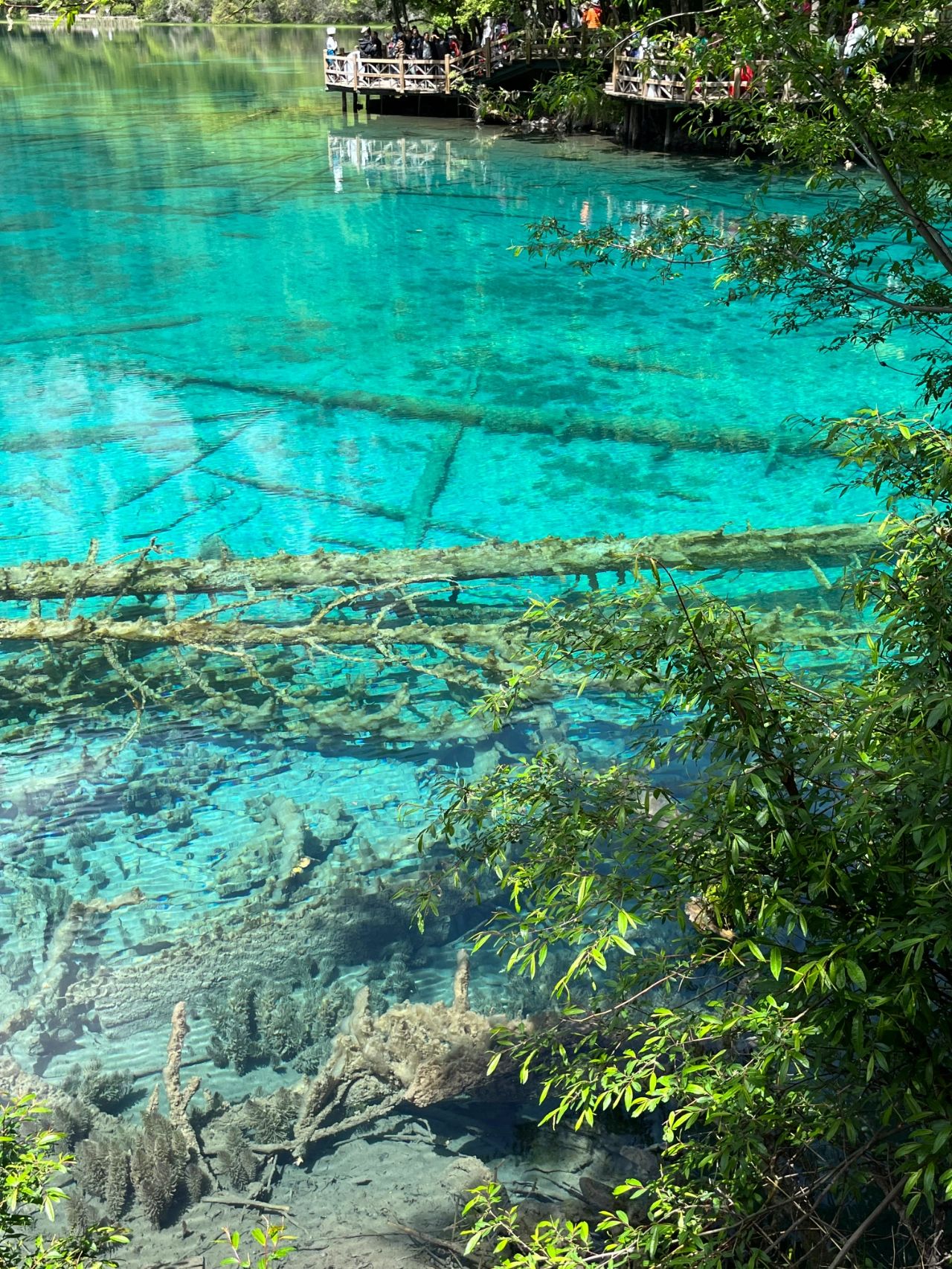 九寨沟旅行保姆级快速攻略