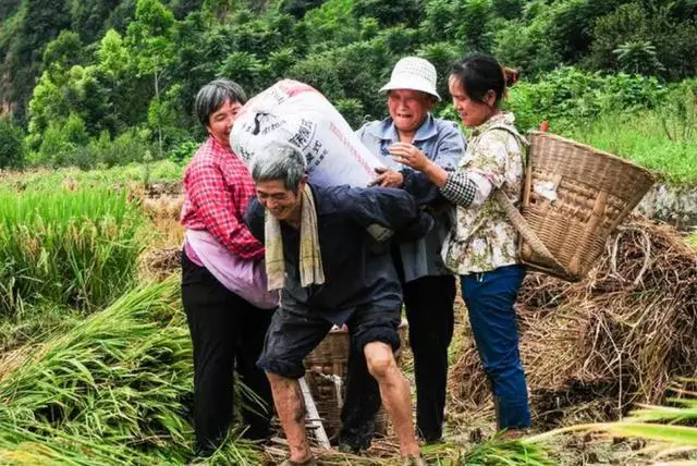 随时可以成为一名伟大的劳动者，且从不骄傲！默默耕耘，不辞劳苦，在“