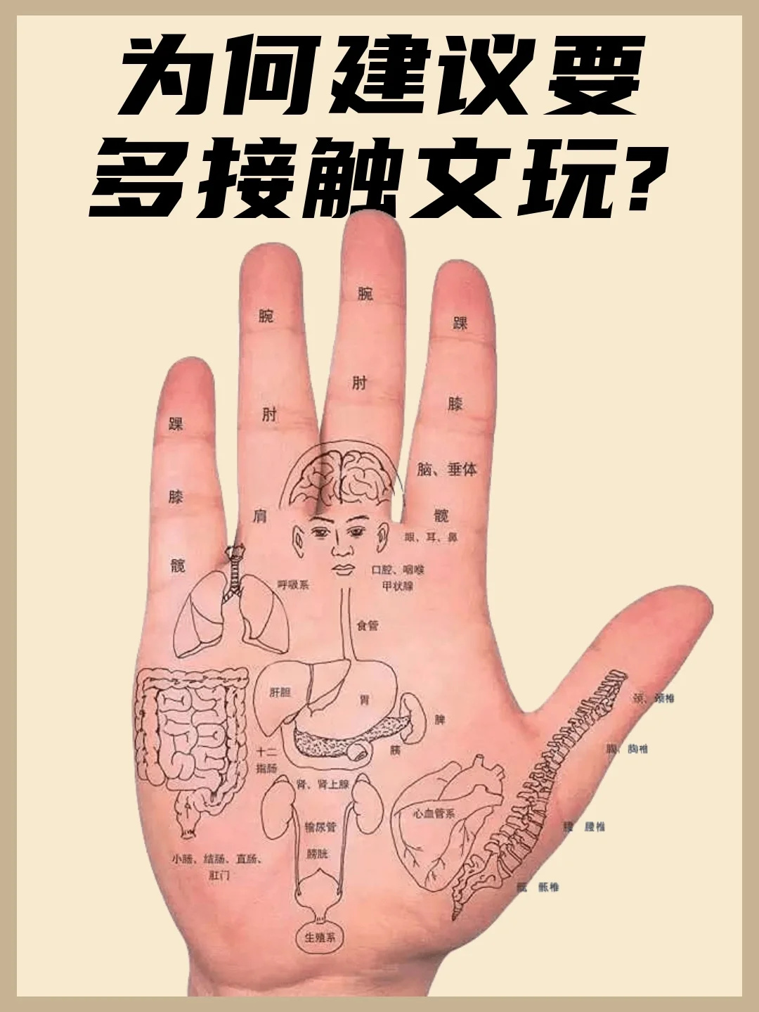 文玩科普鉴定｜为什么要多接触文玩🤔？