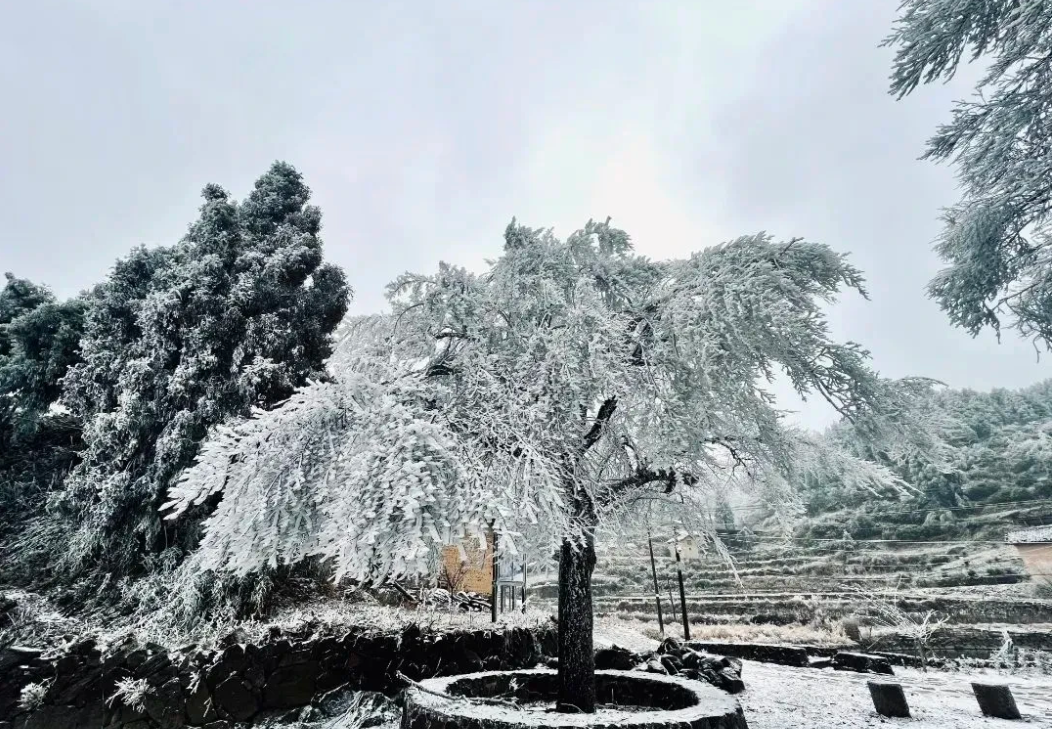 “冬至晴年必雨,冬至暖春节冷”。我听过这句老话，也就是说在冬至节的当天，如果是大