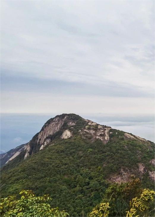 广州一周一山 五指山 绝美风景线