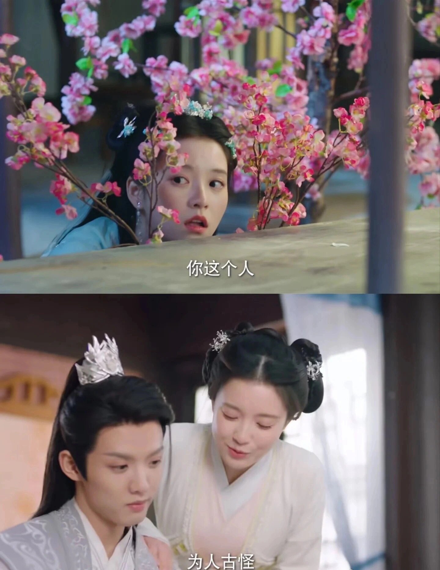 张楚寒×周峻纬《孔雀归来又逢君》