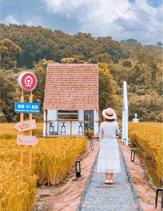 想疯狂安利10000次的小众景点
