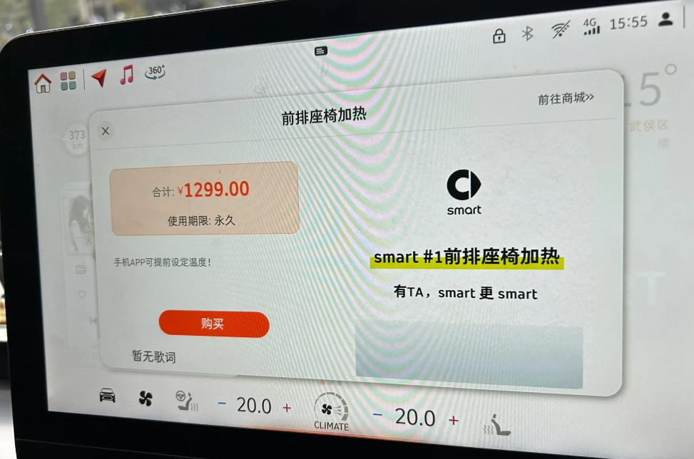 谁买这车谁有病！今天坐朋友车，觉得很冷想点开加热，结果一脸懵逼～用这个功能要付钱
