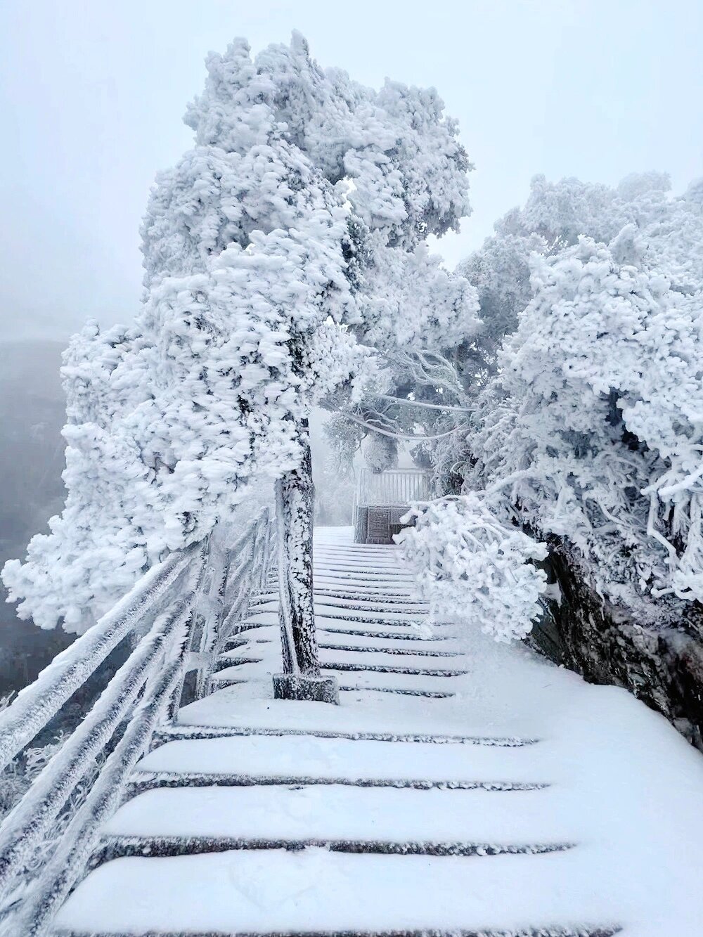 广深周边！最快2h！最省时省钱的赏雪地！