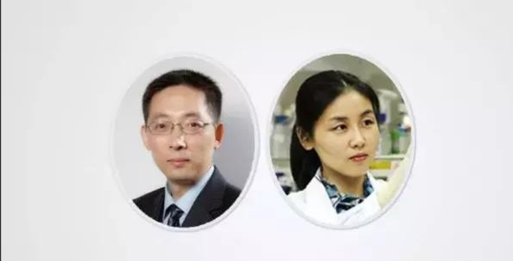 我国顶级的科学家师徒施一公、颜宁或许是从巨人肩膀上脱落下来了
清华大学副校长施一